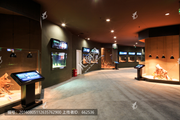 爬蟲(chóng)館