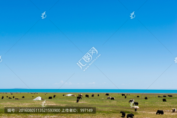 青海湖