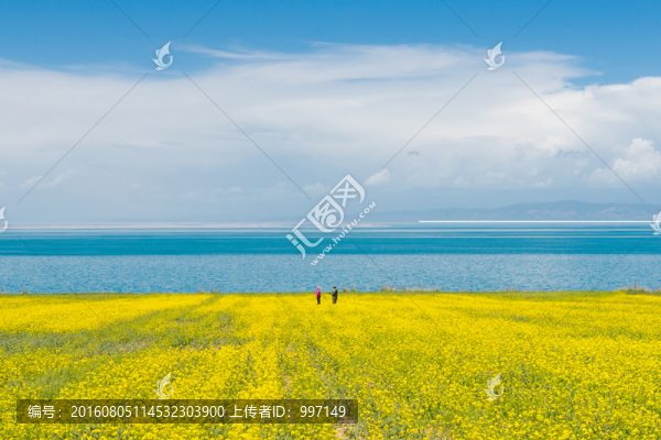 青海湖