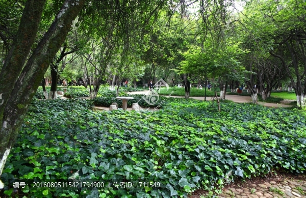 云南大學(xué)校園景觀
