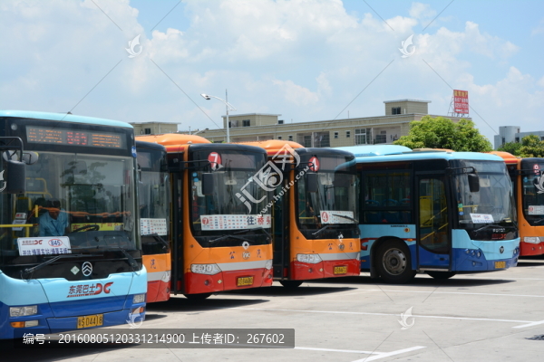 大巴