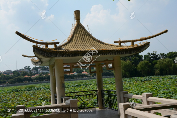 亭子