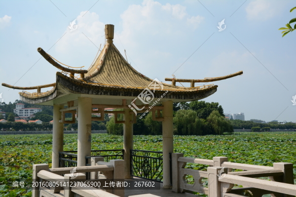 亭子