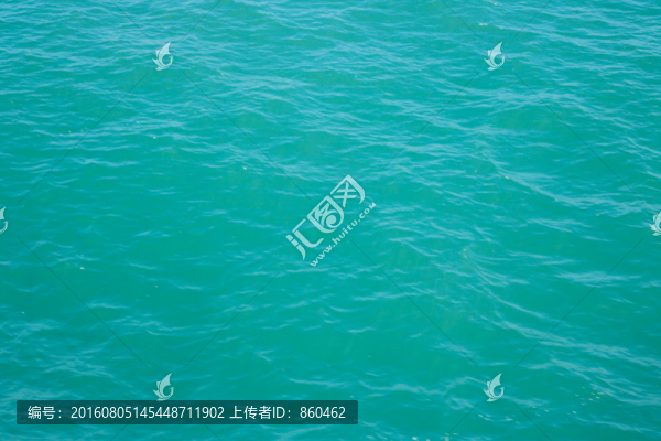 海皮膚