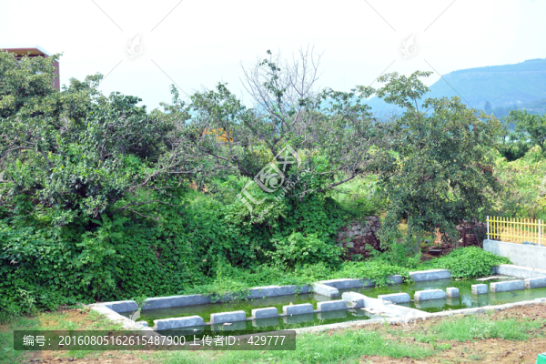 公園風(fēng)景
