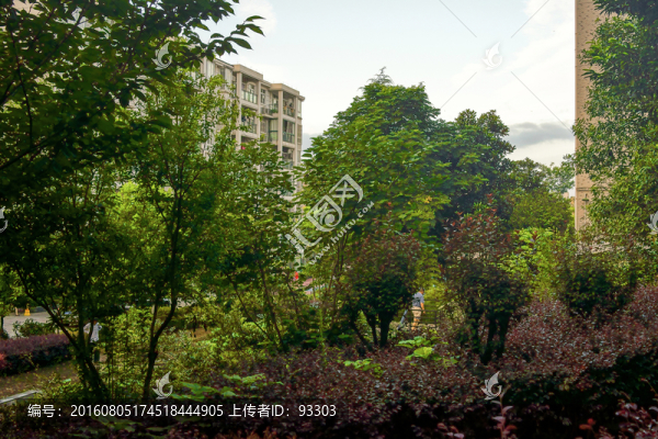 小區(qū)