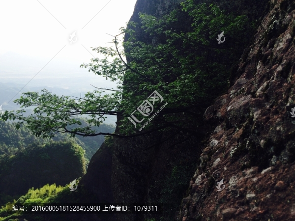 高山懸崖