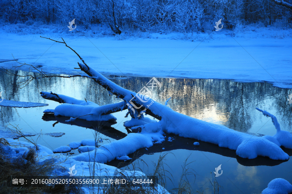 冬季不凍河景觀