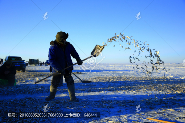 達(dá)賚湖冬季捕魚