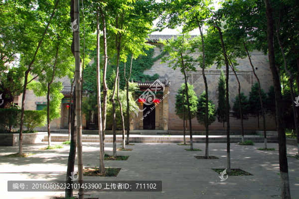 綠蔭大道,綠蔭
