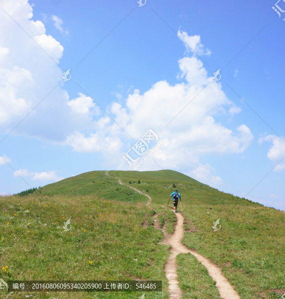 高原,高山,旅行者