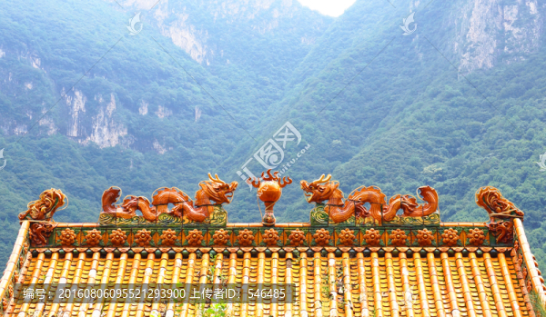 寺院,青山,龍