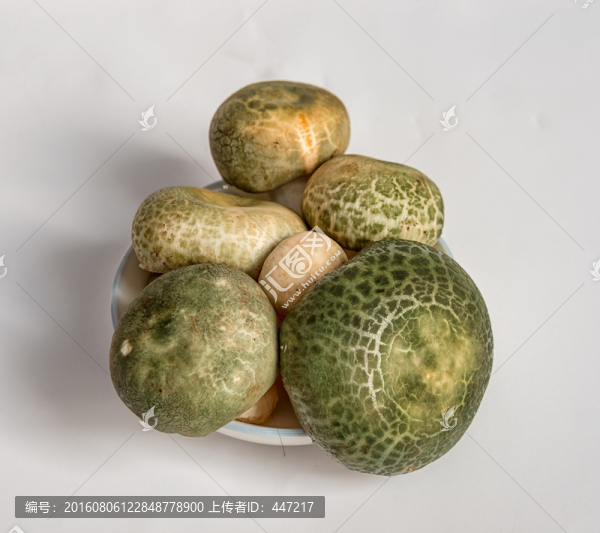 青頭菌