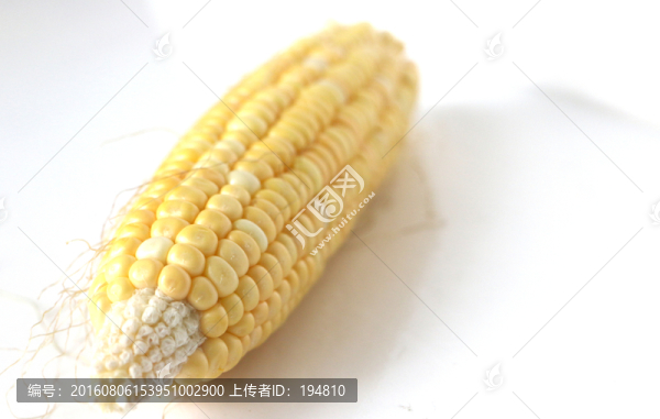玉米
