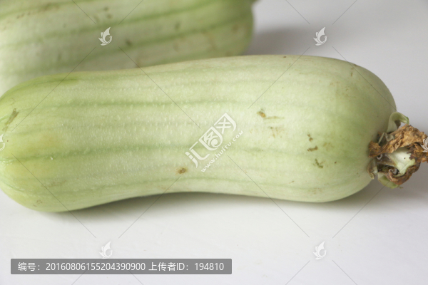 高清絲瓜圖片