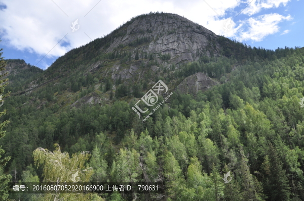 山林