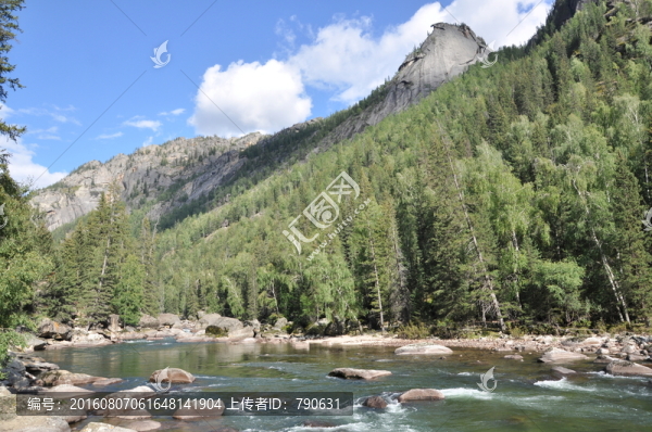 高山,山林