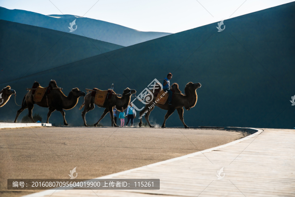 遠(yuǎn)山駝隊(duì)