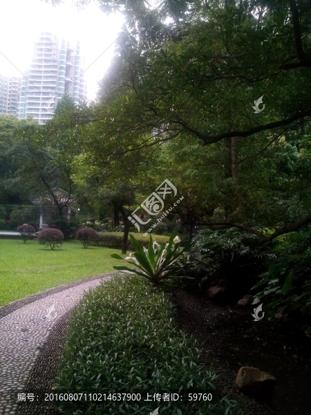 公園小道