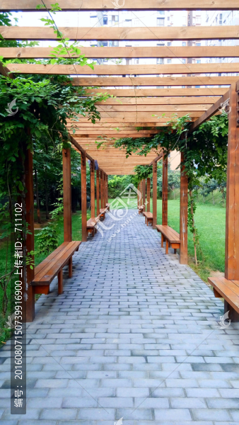 籬笆,圍欄,春天,竹籬笆,公園