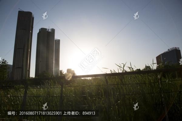 大望京公園