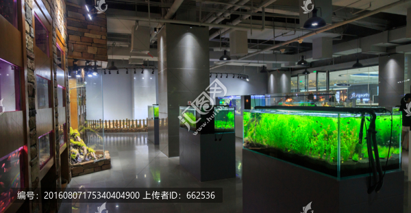 水族店
