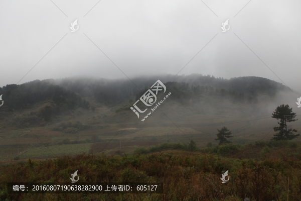 丘陵植被
