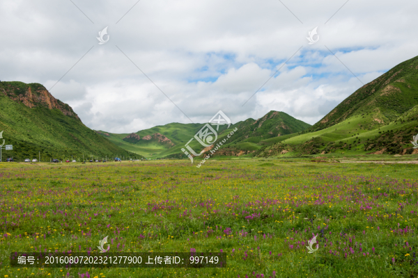草原風光