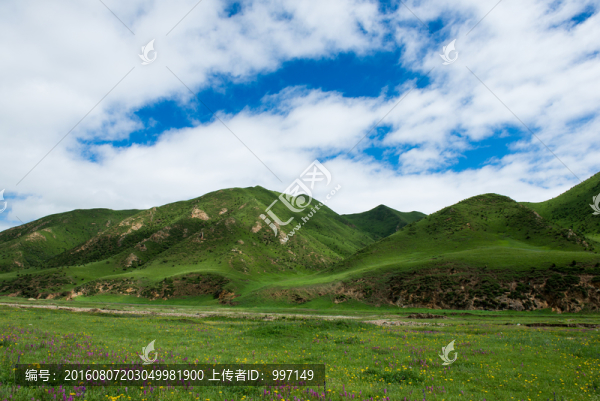 草原風(fēng)光