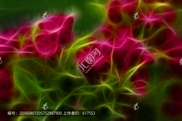 滿堂紅花卉