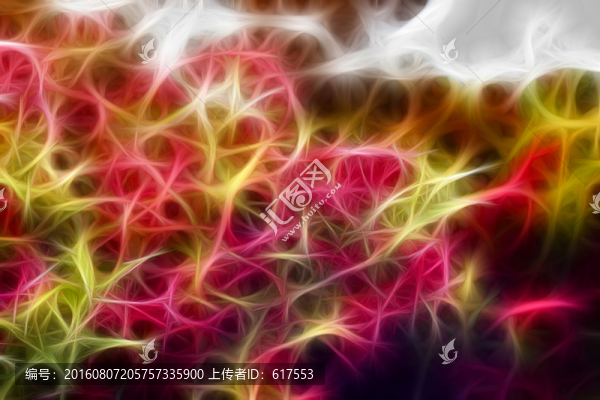 滿堂紅花卉