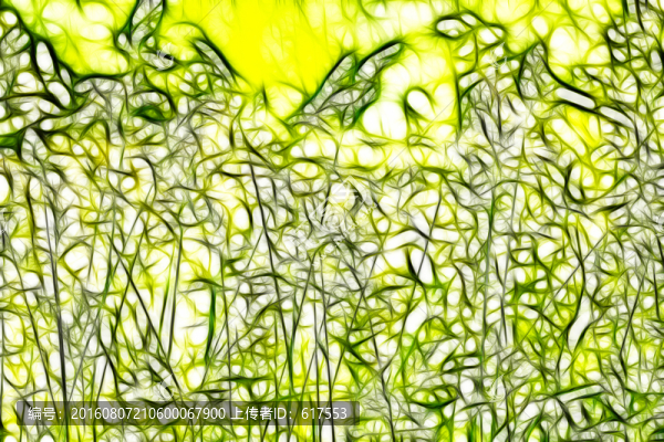 夢(mèng)幻草叢