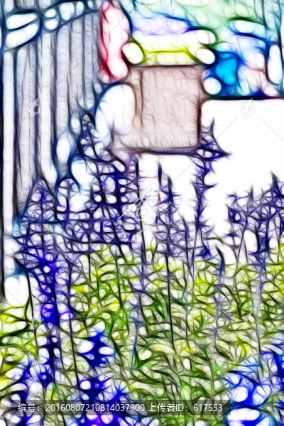 薰衣草花叢