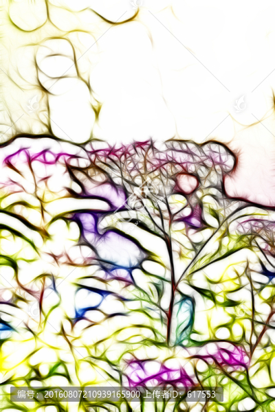 紫荊花開(kāi)