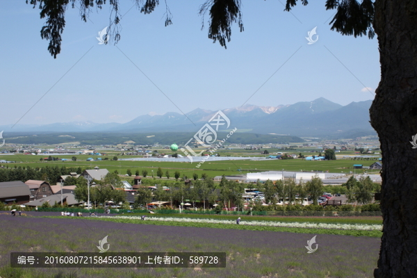 日本北海道富良野