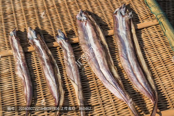 海產(chǎn)品