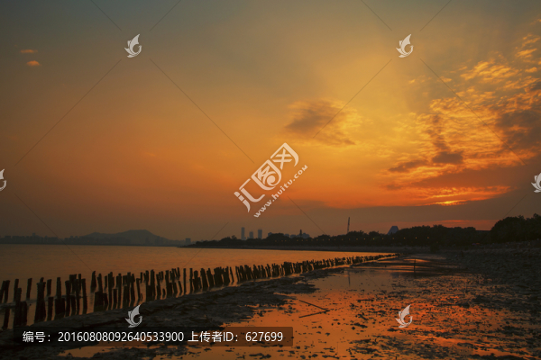 深圳紅樹林