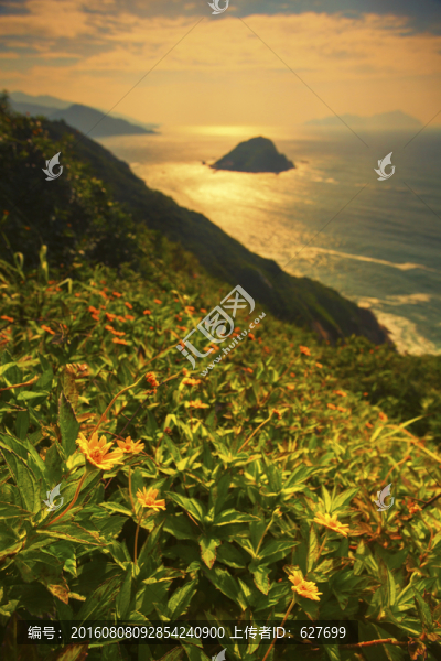 海島風(fēng)光