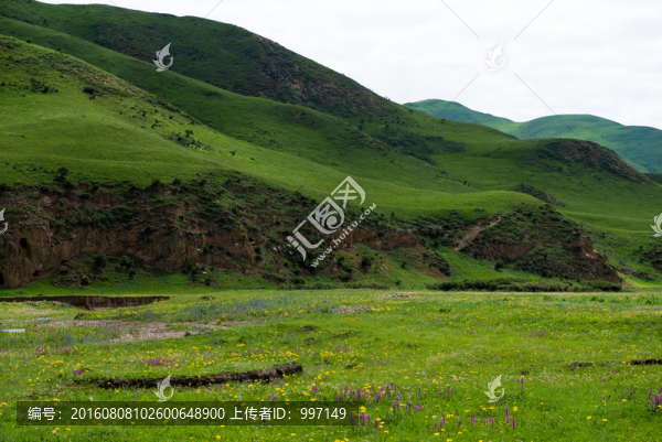 甘南風(fēng)景