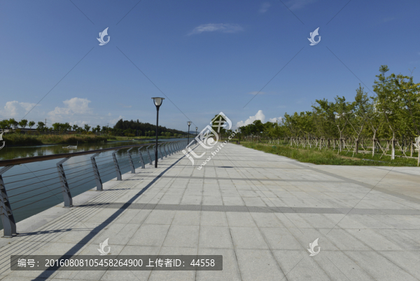 公園步道