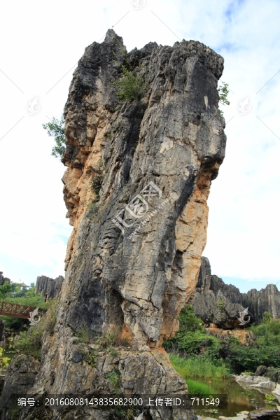 黑石林