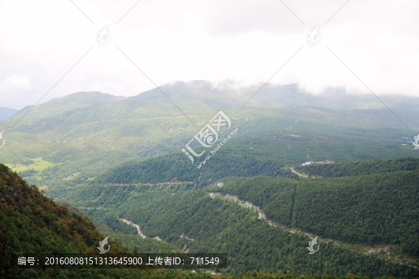 大山,森林