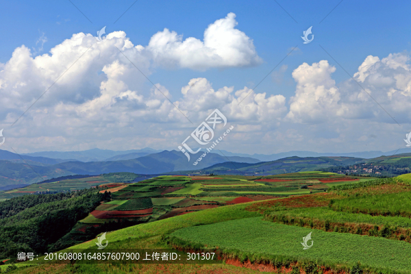 炫目的色彩,東川紅土地