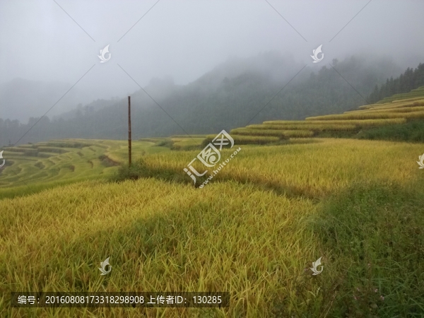 梯田