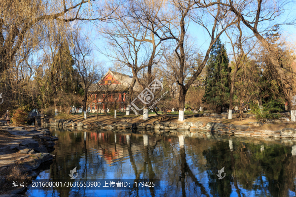 北大校園風(fēng)光未名湖冬天備齋柳樹