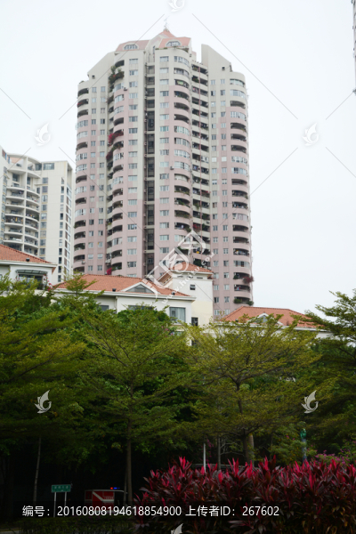 深圳風(fēng)光