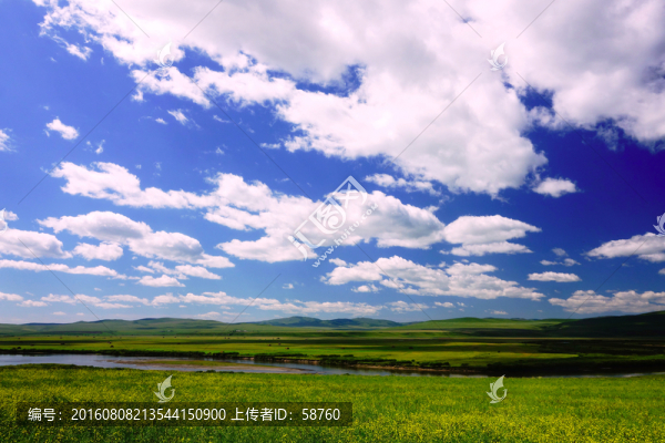 呼倫貝爾,田野景觀