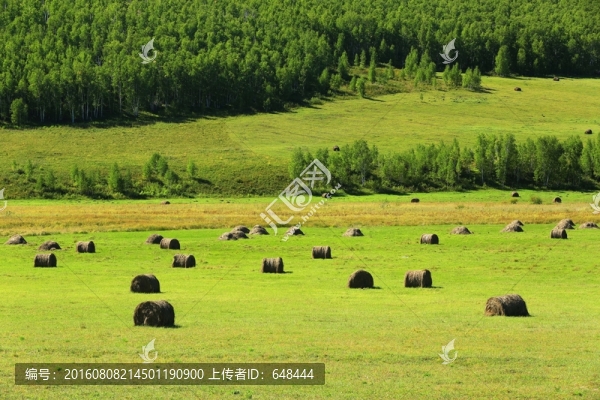 草原秋色