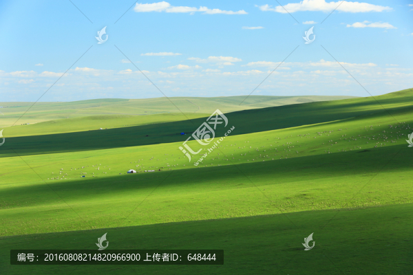 草原光影