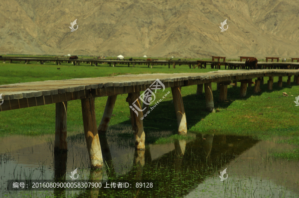 金草灘木棧道
